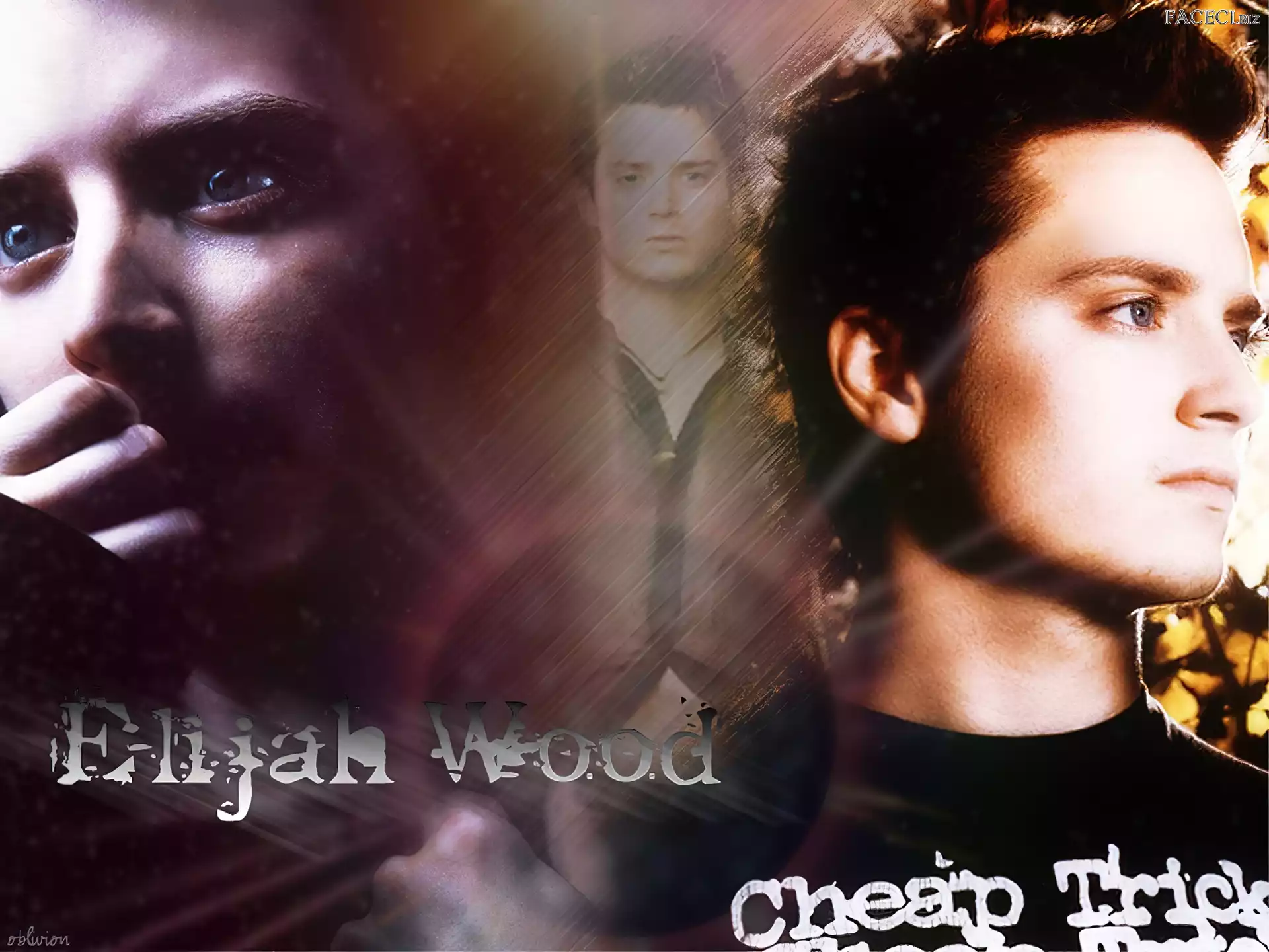 ciemne włosy, Elijah Wood, niebieskie oczy