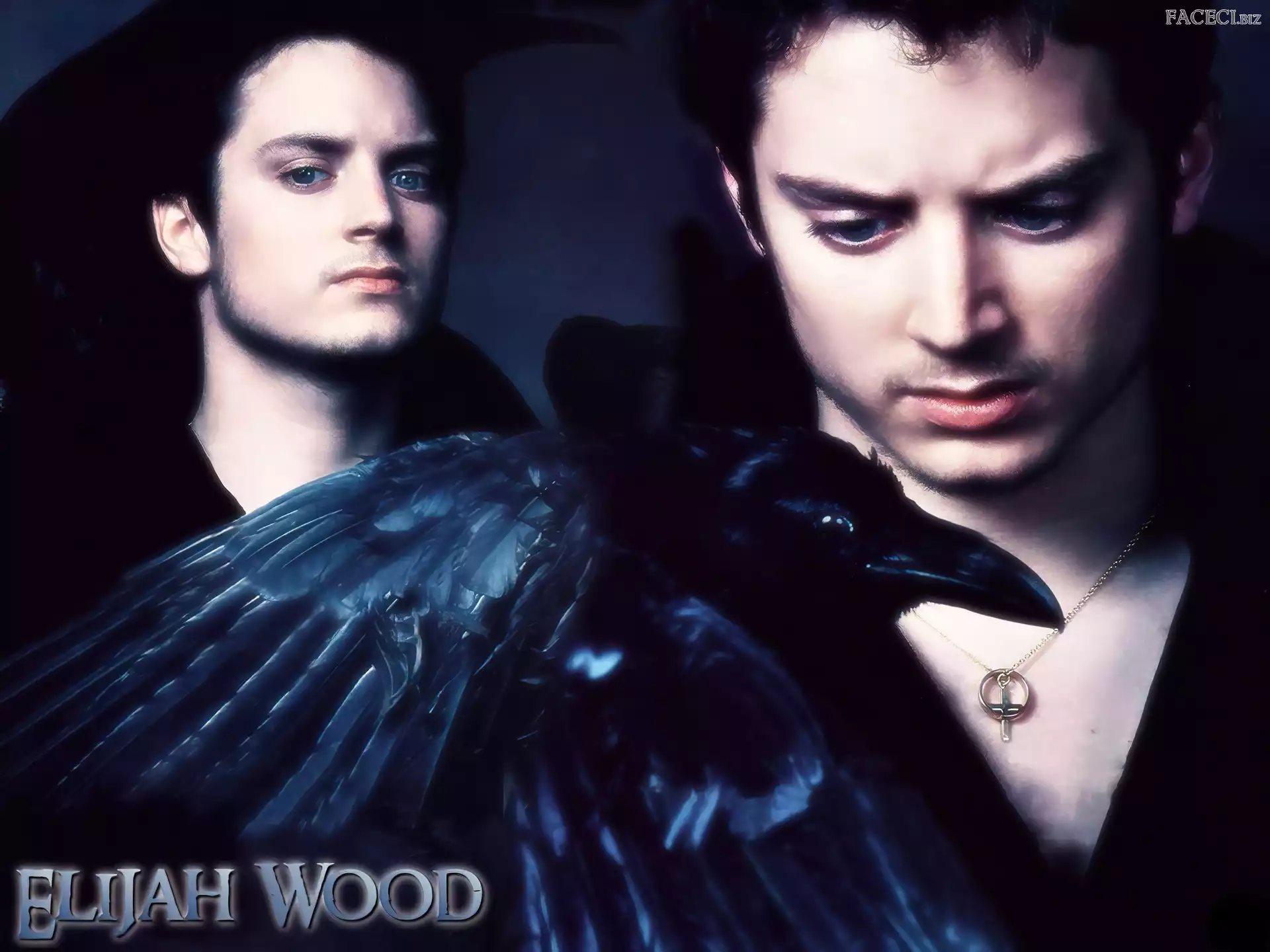 łańcuszek, Elijah Wood, kruk